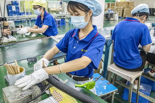 東莞往事 工廠大姐修電腦的溫情邂逅與網(wǎng)站設(shè)計夢
