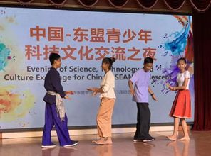 一帶一路共舞風華 東盟青少年夜梧州展現民族情